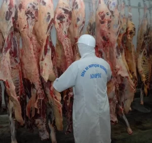 InspeÃÂ§ÃÂ£o e fiscalizaÃÂ§ÃÂ£o sÃÂ£o realizadas para garantir seguranÃÂ§a alimentar