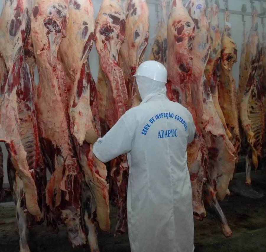 InspeÃÂ§ÃÂ£o e fiscalizaÃÂ§ÃÂ£o sÃÂ£o realizadas para garantir seguranÃÂ§a alimentar