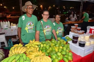 AuxÃÂ­lio emergencial de R$ 600,00 beneficiarÃÂ¡ agricultura familiar