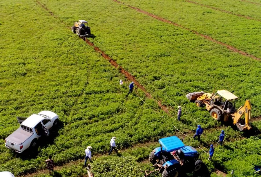 Projeto Campo SustentÃÂ¡vel conclui atividades desenvolvidas em propriedades do Tocantins