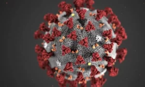 Casos confirmados da Covid-19 no TO sobrem para 31