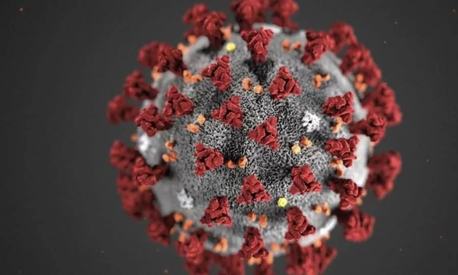 Casos confirmados da Covid-19 no TO sobrem para 31