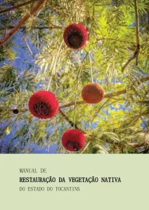 Cartilha orienta restauraÃÂ§ÃÂ£o da vegetaÃÂ§ÃÂ£o nativa no TO