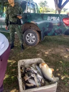 PolÃÂ­cia Militar Ambiental apreende redes de pesca, muniÃÂ§ÃÂµes e mais de 50 kg de pescado