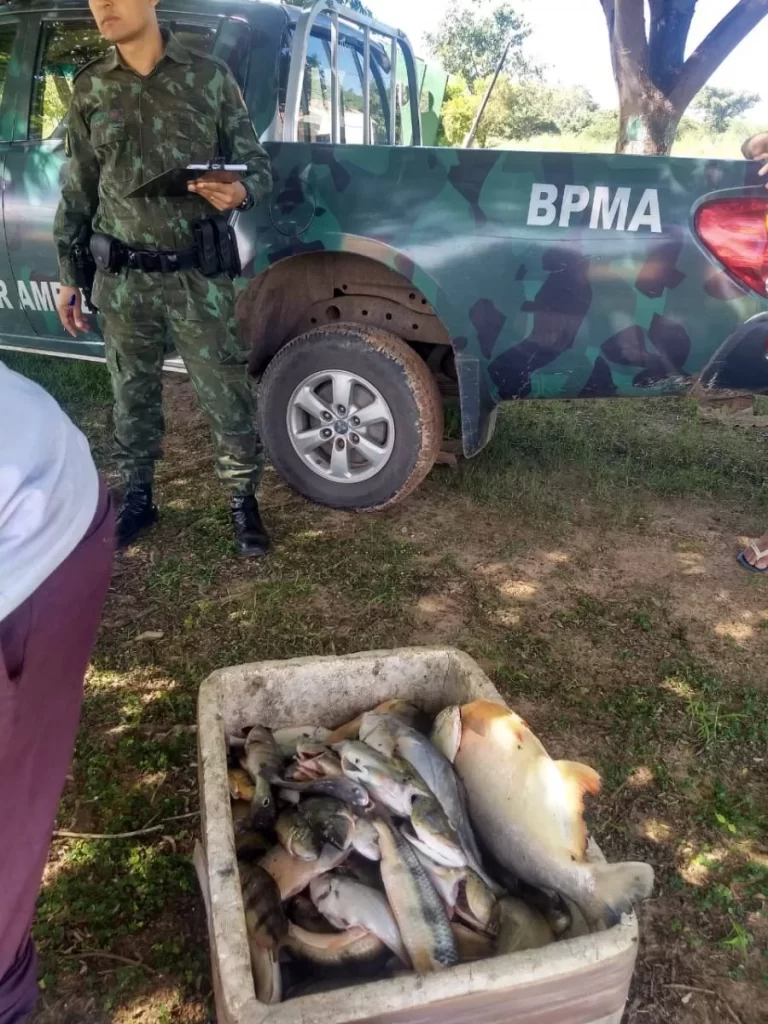 PolÃÂ­cia Militar Ambiental apreende redes de pesca, muniÃÂ§ÃÂµes e mais de 50 kg de pescado