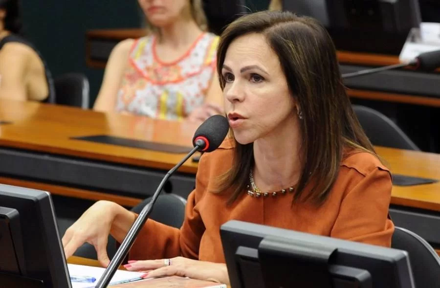 Dorinha destaca trabalho da bancada e prioriza saÃÂºde, educaÃÂ§ÃÂ£o e seguranÃÂ§a