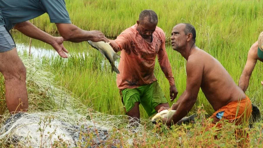 Peixes cultivados pela Prefeitura serÃÂ£o entregues para famÃÂ­lias em vulnerabilidade social