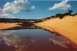 Reabertura do Parque Estadual do JalapÃÂ£o passarÃÂ¡ por estudo de viabilidade tÃÂ©cnica