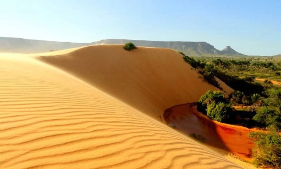Governo do Estado mantÃÂ©m suspensÃÂ£o do funcionamento de Parques Estaduais no Tocantins