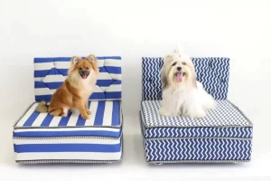 InovaÃÂ§ÃÂ£o ÃÂ© aposta para os pequenos negÃÂ³cios em tempos de pandemia