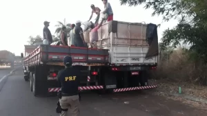 PRF flagra caminhÃÂµes com excesso de peso na BR-153