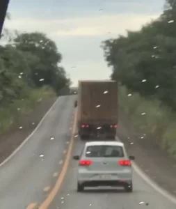 Caminhoneiro ÃÂ© flagrado dirigindo embriagado na BR-153 e ÃÂ© preso pela PRF