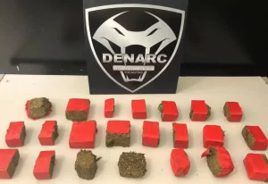 Mulher ÃÂ© presa pela PolÃÂ­cia Civil do Tocantins por transportar 3,5 quilos de maconha