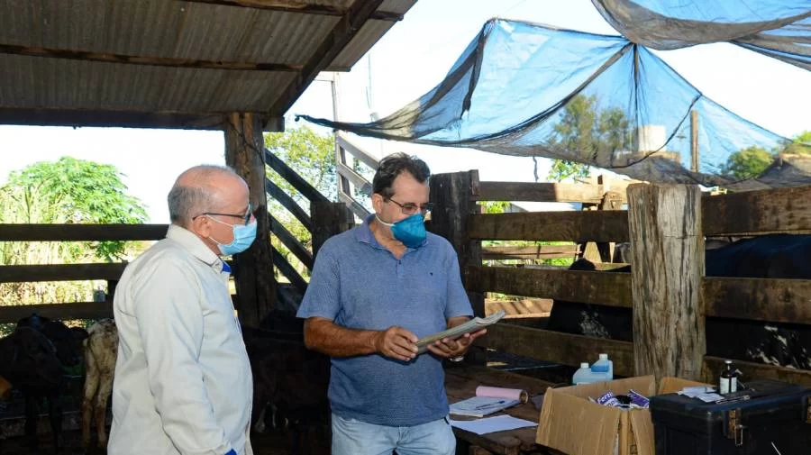 Melhoramento genÃÂ©tico ÃÂ© alternativa para impulsionar a cadeia produtiva de leite em Palmas