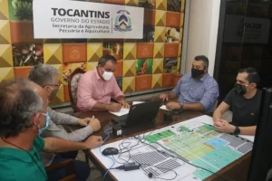 Feira: Agrotins 2020 100% Digital terÃÂ¡ leilÃÂ£o e exposiÃÂ§ÃÂ£o virtual de animais