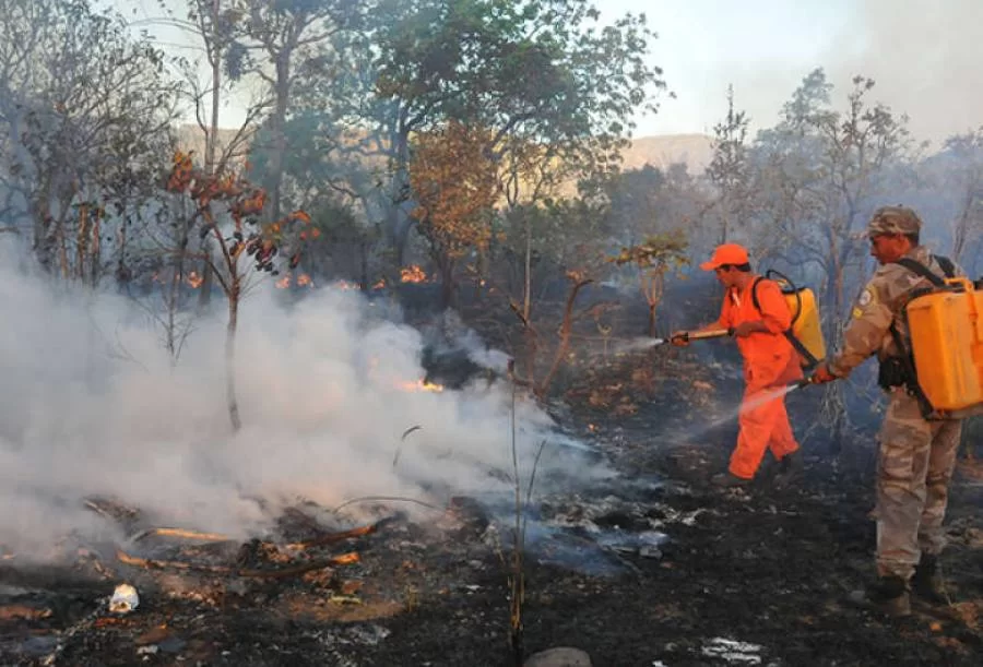 Naturatins inicia campanha de prevenÃÂ§ÃÂ£o aos incÃªndios florestais e queimadas ilegais