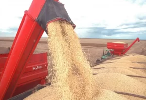 Matopiba ÃÂ© um dos destaques no segundo dia da Agrotins 2020 100% Digital