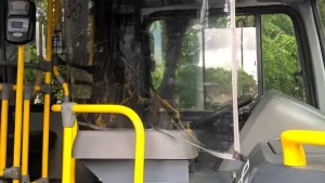 Transporte coletivo de Palmas recebe barreira plÃÂ¡stica de proteÃÂ§ÃÂ£o na cabine do motorista