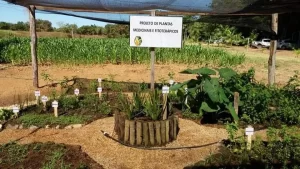 FarmÃÂ¡cia Viva e LegislaÃÂ§ÃÂ£o sÃÂ£o temas da Agrotins 100% Digital nesta sexta