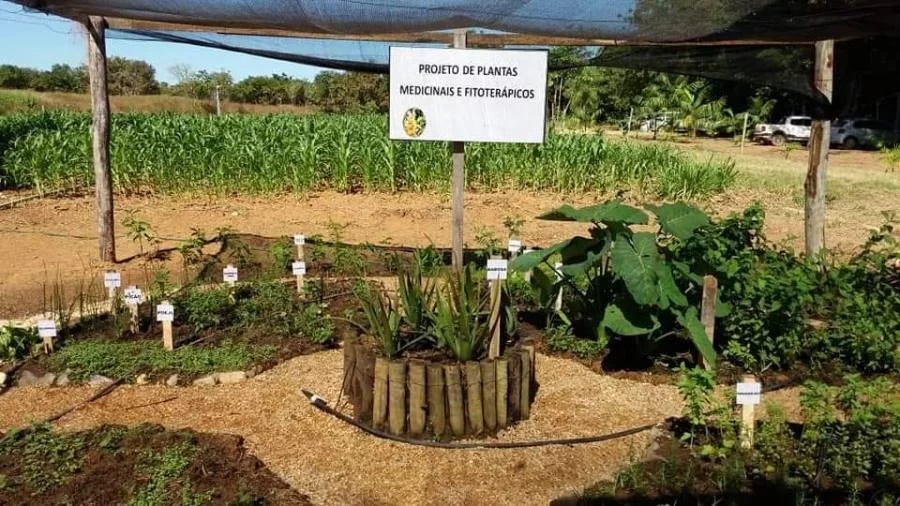 FarmÃÂ¡cia Viva e LegislaÃÂ§ÃÂ£o sÃÂ£o temas da Agrotins 100% Digital nesta sexta