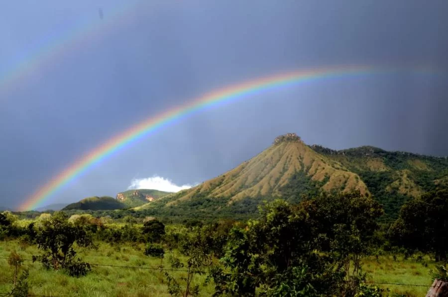 Lives sobre preservaÃÂ§ÃÂ£o ambiental e pandemia marcam o inÃÂ­cio das comemoraÃÂ§ÃÂµes do mÃªs do Meio Ambiente