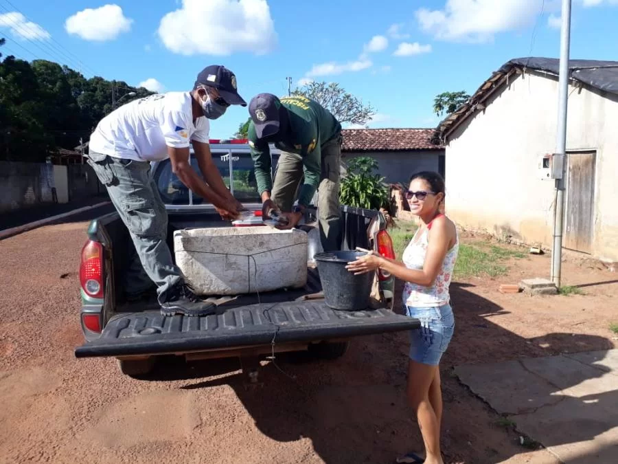 Naturatins realiza patrulhamento aquÃÂ¡tico em rios e lagos durante OperaÃÂ§ÃÂ£o CantÃÂ£o