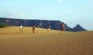 Governo do Tocantins passa a contar com R$ 40 milhÃÂµes para socorrer os empreendedores do Estado