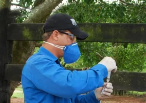 Adapec alerta para fim de prazo de vacinaÃÂ§ÃÂ£o contra brucelose no primeiro semestre de 2020 encerra no prÃÂ³ximo dia 30