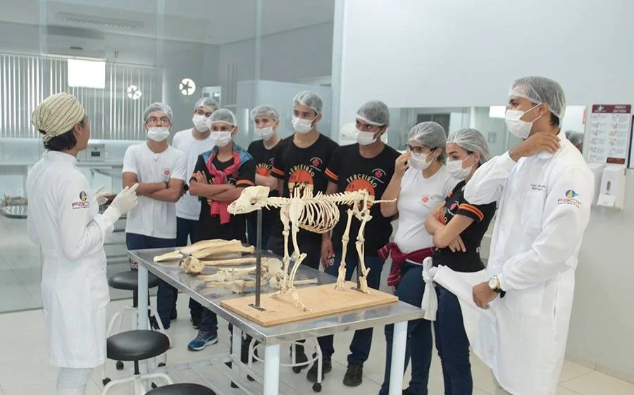 Facit obtÃÂ©m credenciamento no Conselho Nacional para atividades de ensino e pesquisa em Medicina VeterinÃÂ¡ria