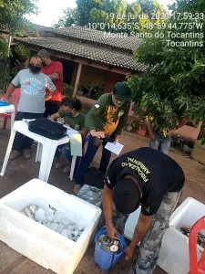 Peixes sÃÂ£o apreendidos e pescadores multados durante operaÃÂ§ÃÂ£o de fiscalizaÃÂ§ÃÂ£o em Monte Santo