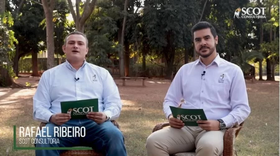 Mercado sem rodeios:  Queda na oferta de boiadas garante firmeza ÃÂ s cotaÃÂ§ÃÂµes