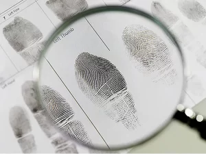 PolÃÂ­cia identifica corpo encontrado em ÃÂ¡rea de mata na regiÃÂ£o norte de Palmas