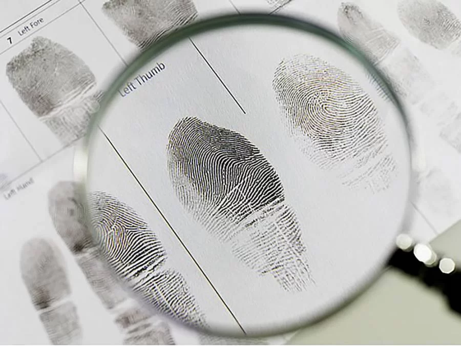 PolÃÂ­cia identifica corpo encontrado em ÃÂ¡rea de mata na regiÃÂ£o norte de Palmas