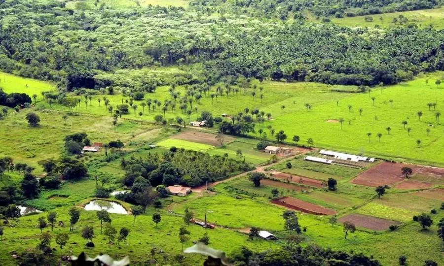 ComeÃÂ§a hoje prazo para entrega da declaraÃÂ§ÃÂ£o de propriedade rural