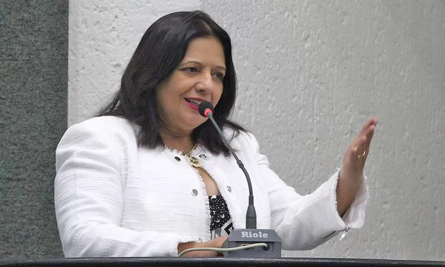 Valderez toma posse como membro do Conselho de PolÃÂ­tica Cultural do Tocantins