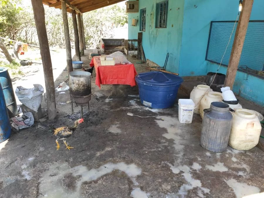 Queijaria clandestina ÃÂ© interditada em AxixÃÂ¡; foram apreendidos 57 kg de mussarela e 200 litros de leite