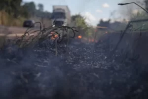 Primeiros dias de setembro tÃªm nÃÂºmero recorde de queimada em todas as regiÃÂµes do Tocantins