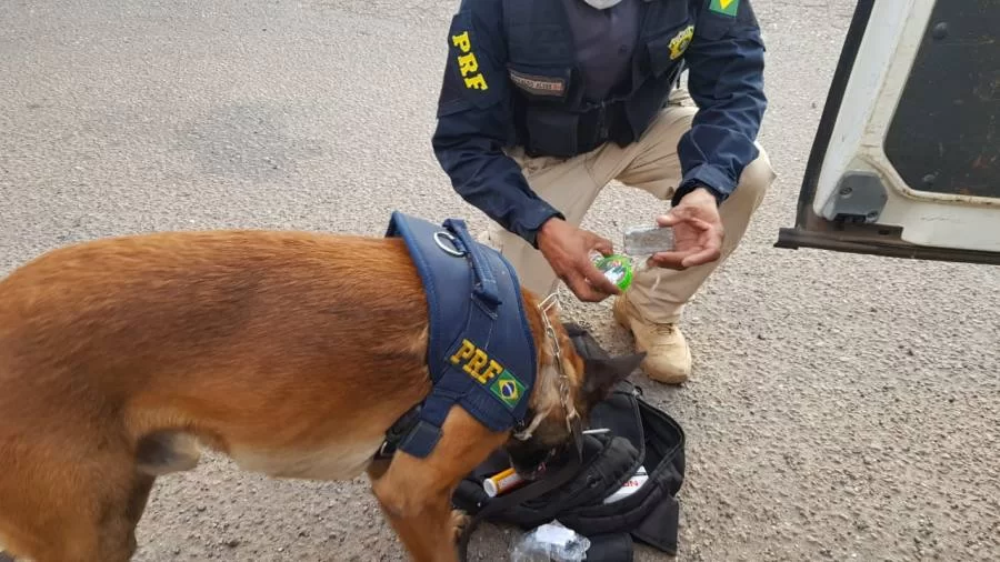 Homem com droga escondida entre mercadorias ÃÂ© flagrado por agentes da Policia RodoviÃÂ¡ria
