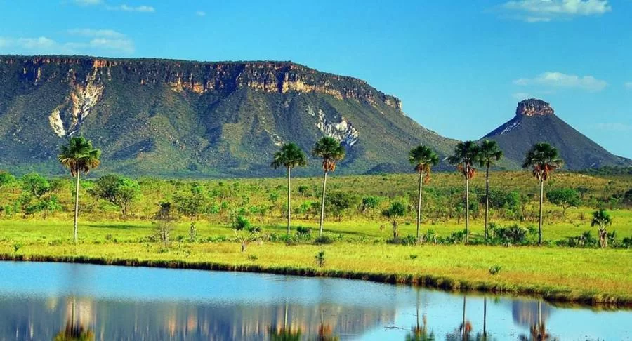 Governo autoriza abertura de parques e mantÃÂ©m suspensÃÂ£o das aulas