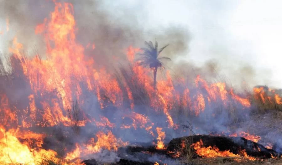 Tocantins registra menos queimadas que em 2019, mas focos ainda sÃÂ£o altos e chega a quase 10 mil, diz Instuto Nacional de Pesquisas Espaciais