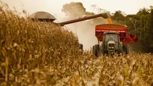 ÃÂrea segurada da safra de inverno cresceu 56% com apoio do Mapa; RegiÃÂ£o norte receberÃÂ¡ R$ 50 milhÃÂµes do MinistÃÂ©rio da Agricultura