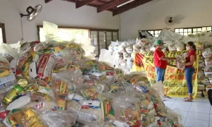 Governo do Tocantins atende cerca de 400 mil famÃÂ­lias com auxÃÂ­lio de cestas bÃÂ¡sicas durante a pandemia