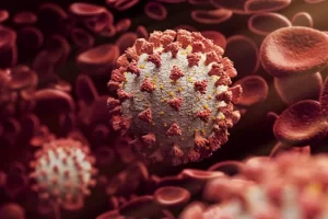 IBGE estima que 12,3% dos tocantinenses fizeram teste do Covid19 atÃÂ© setembro; 2,1% nÃÂ£o adotaram restriÃÂ§ÃÂµes