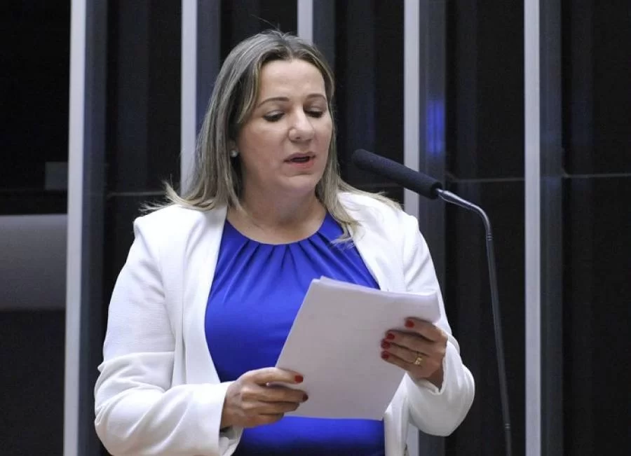 Deputada Federal do MDB Dulce diz aguardar definiÃÂ§ÃÂ£o do partido