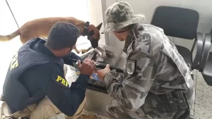 PRF e PM-TO apreendem 10,4 kg de maconha escondidas dentro de um forno elÃÂ©trico