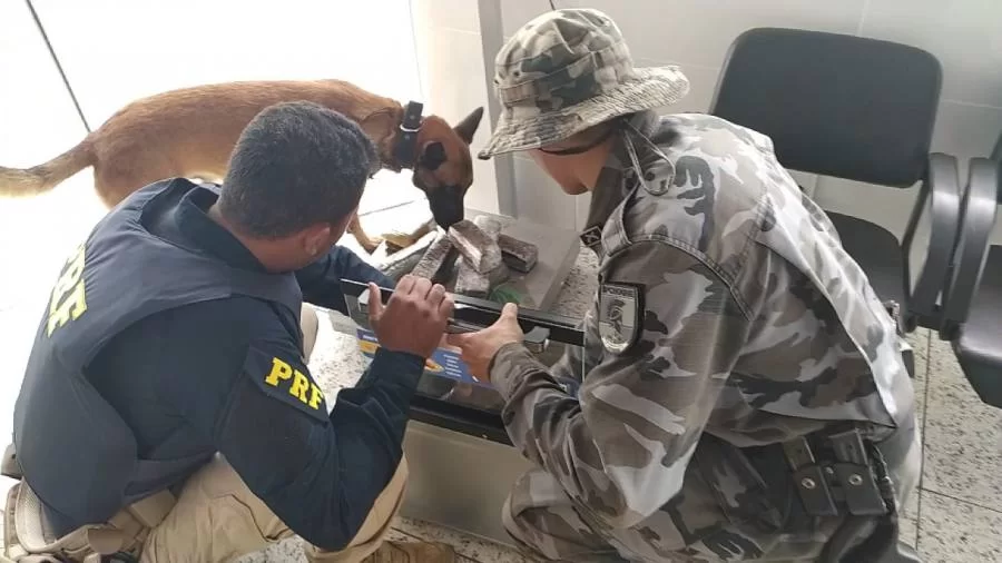 PRF e PM-TO apreendem 10,4 kg de maconha escondidas dentro de um forno elÃÂ©trico