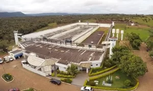 7 presos fogem da CPP de Palmas atravÃÂ©s de buraco em cela; ForÃÂ§as de seguranÃÂ§a fazem busca