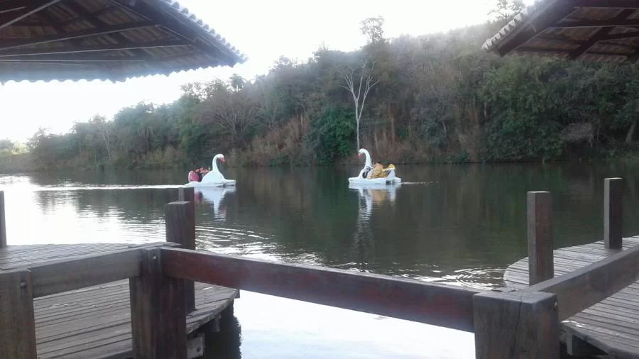 Lago do Parque das ÃÂguas recebe peixes que ajudam na qualidade da ÃÂ¡gua