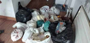 ComÃÂ©rcio clandestino de produtos de origem animal ÃÂ© desarticulado em AraguaÃÂ­na