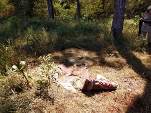 Grupo criminoso que comercializava carne oriunda de gado furtado no Tocantins ÃÂ© presa em operaÃÂ§ÃÂ£o